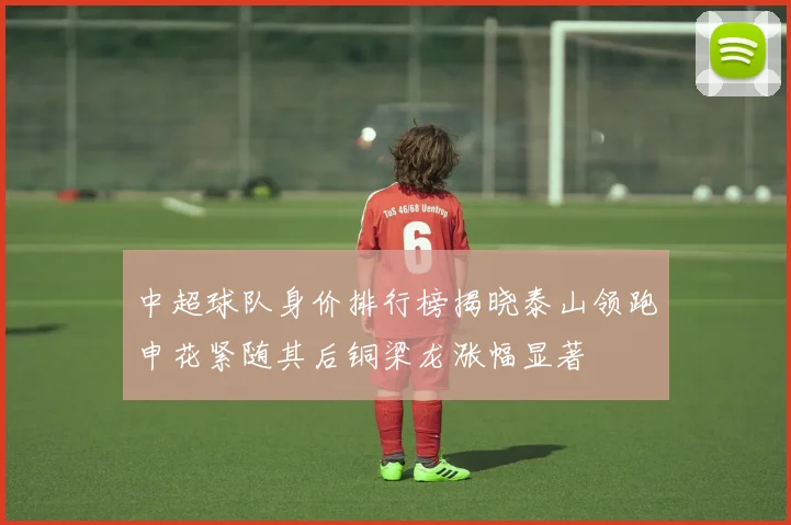中超球队身价排行榜揭晓泰山领跑申花紧随其后铜梁龙涨幅显著