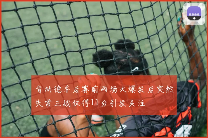 肯纳德季后赛前两场大爆发后突然失常三战仅得11分引发关注